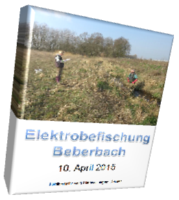 Elektrobefischung Beberbach  04. 2015.pdf